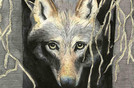 Ist dieser Wolf Jäger oder Gejagter?
