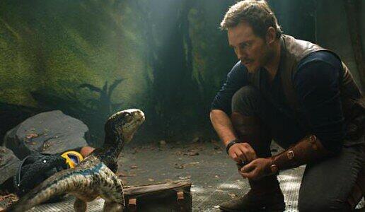 "Jurassic Park: Das gefallene Königreich" ist noch nicht einmal angelaufen, da wird schon der dritte Teil der Reihe angekündigt. Im Bild: Chris Pratt als Dinoflüsterer Owen.