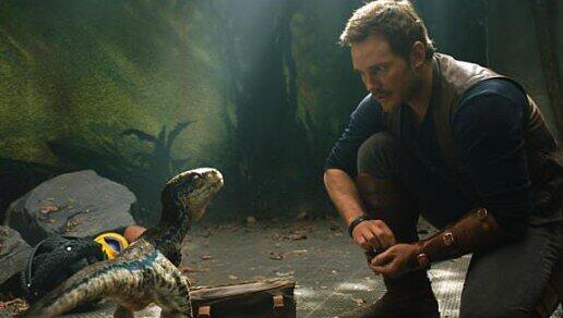 "Jurassic Park: Das gefallene Königreich" ist noch nicht einmal angelaufen, da wird schon der dritte Teil der Reihe angekündigt. Im Bild: Chris Pratt als Dinoflüsterer Owen.