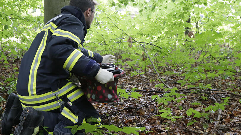 Rettung von sechs Entenküken in Waldkraiburg - die Fotos vom Feuerwehreinsatz.