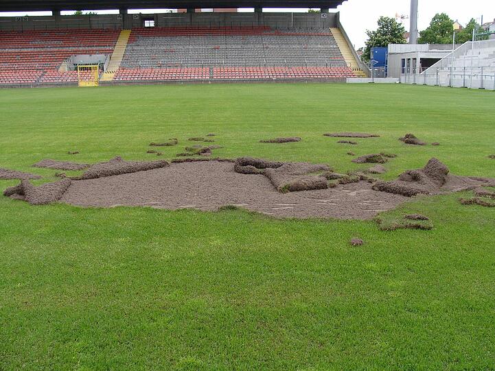Attacke aufs heilige Grün: Unbekannte Täter haben den Rasen im Stadion an der Grünwalder Straße beschädigt.