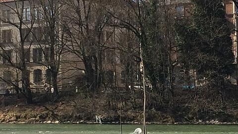 Der weiße Stuhl, weit weg vom Ufer. Klicken Sie sich durch die Fotos.
