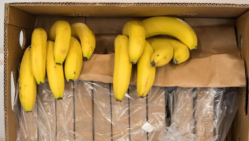 Mai 2018: Bei einer Polizeipressekonferenz in München wird in Bananenkisten verstecktes Kokain präsentiert. Mai 2018: Bei einer Polizeipressekonferenz in München wird in Bananenkisten verstecktes Kokain präsentiert.