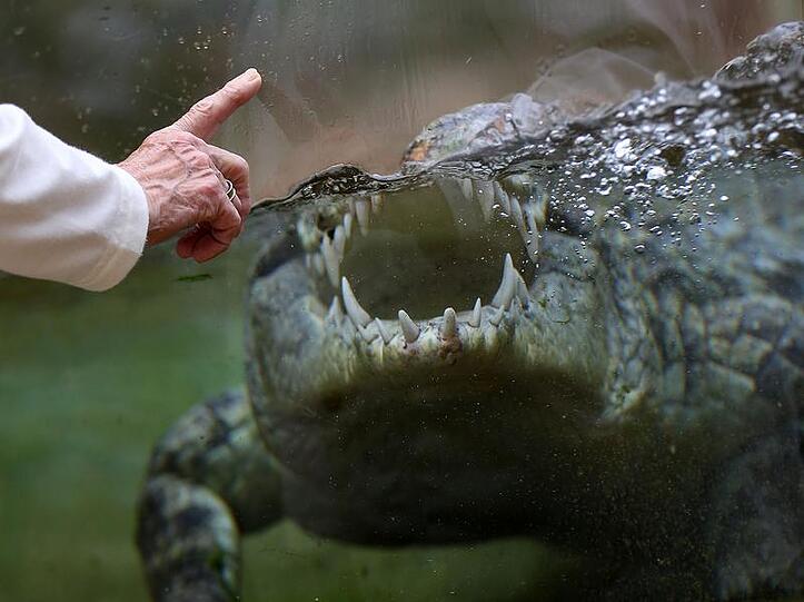 Laut dem Landratsamtes kann das LMU-Biologie-Instiut das Wohlergehen der Tiere nicht gewährleisten.
