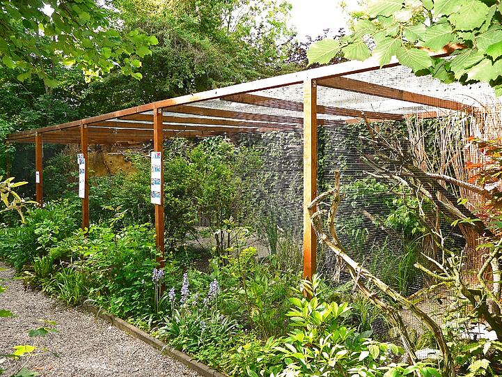 Die neue Greifvogelanlage des Vogelparks sucht noch weitere Bewohner: Wenn es denn die Behörden erlauben.