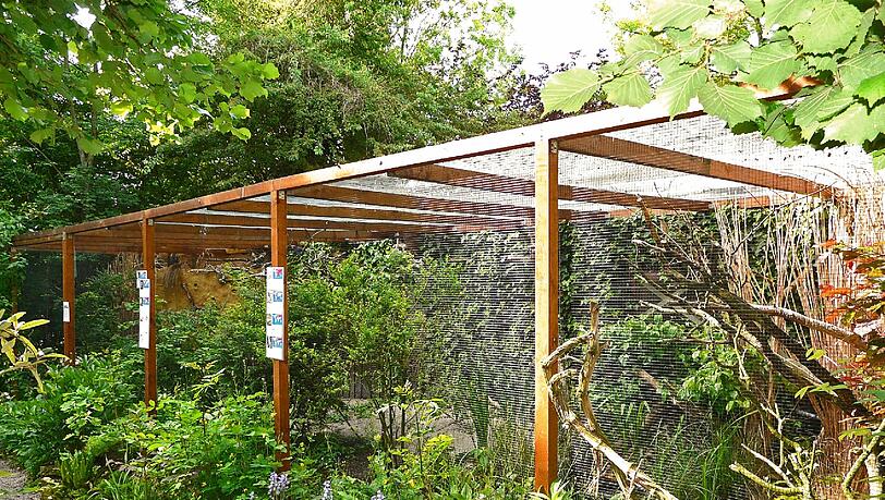 Die neue Greifvogelanlage des Vogelparks sucht noch weitere Bewohner: Wenn es denn die Behörden erlauben. Die neue Greifvogelanlage des Vogelparks sucht noch weitere Bewohner: Wenn es denn die Behörden erlauben.