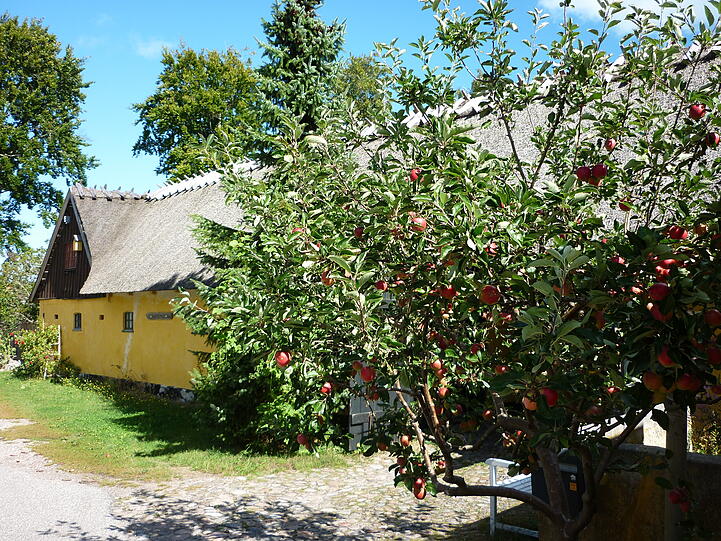 Dänische Idylle.
