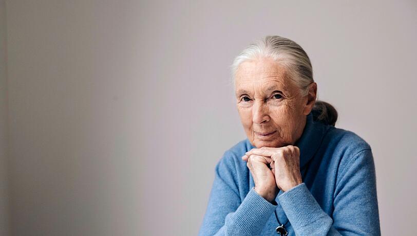 Die berühmte Schimpansenforscherin Jane Goodall ist im Alter von 91 Jahren gestorben. (Archivbild)