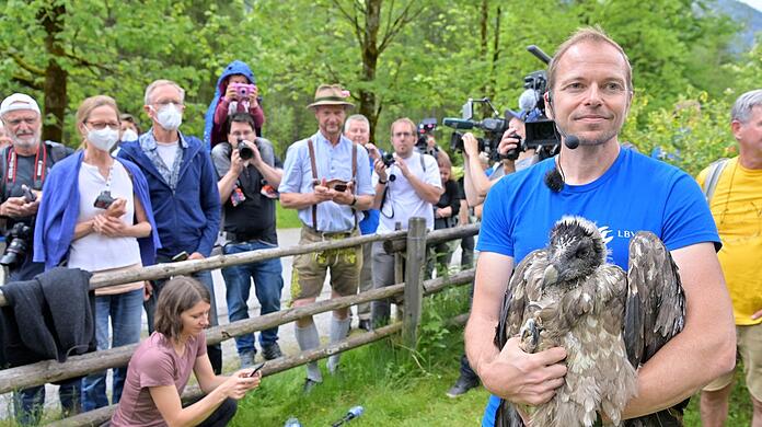 Das Bartgeierweibchen "Bavaria" wird vor ihrem Transport von Toni Wegscheider, Landesbund für Vogelschutz LBV, den Zaungästen gezeigt, um anschließend zum Knittelhorn transportiert zu werden zu werden.