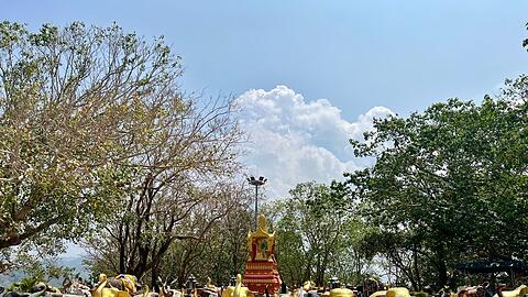 In Thailand werden Elefanten tief verehrt, auch in vielen Tempeln. (Archivbild)