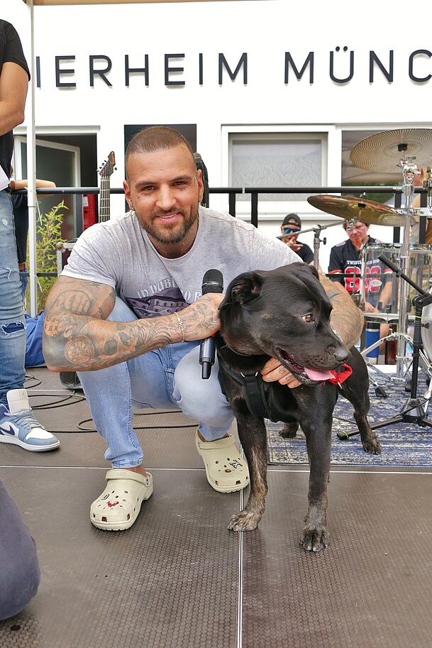 Diogo Sangre beim sogenannten Listenhundetag – veranstaltet vom Tierschutzverein München. Diogo Sangre beim sogenannten Listenhundetag – veranstaltet vom Tierschutzverein München.