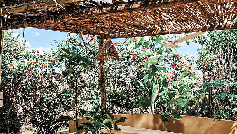 Ein Blick in den Garten. Ein Blick in den Garten.