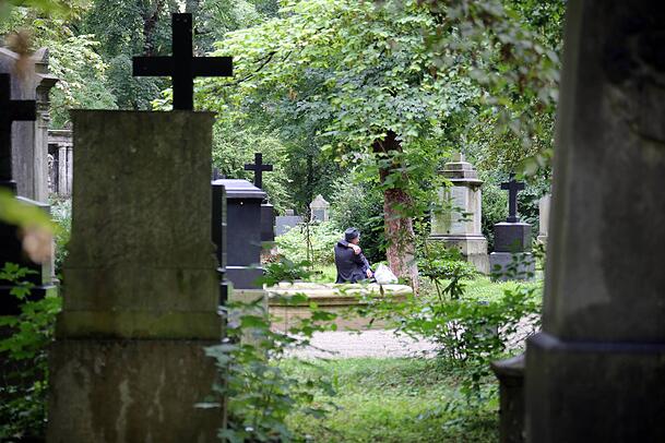 Alter S&uuml;dfriedhof: Zwischen hohen B&auml;umen und Gestr&uuml;pp ruhen hier jahrhundertealte Gr&auml;ber.