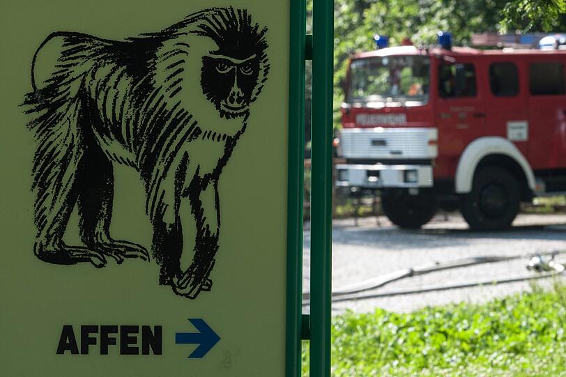 Der Schaden liege nach ersten Ermittlungen bei mindestens 50 000 Euro. Menschen wurden nicht verletzt.