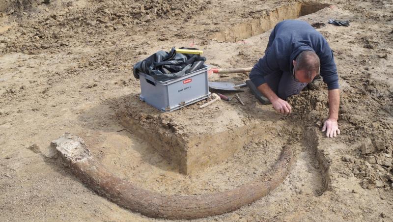 Ein Archäologe arbeitet an einer Ausgrabungsstelle an der ein Stoßzahn eines Mammuts gefunden wurde. Foto: --/Bayerisches Landesamt für Denkmalpflege/dpa Ein Archäologe arbeitet an einer Ausgrabungsstelle an der ein Stoßzahn eines Mammuts gefunden wurde. Foto: --/Bayerisches Landesamt für Denkmalpflege/dpa