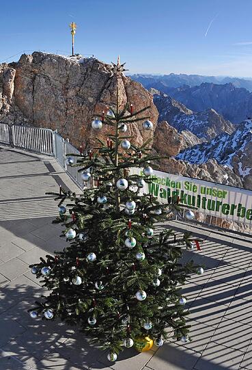 Frage 3: Warum gibt es einen Christbaum?
