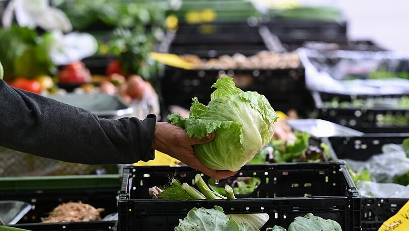 Behörden in den USA bringen einen Ausbruch in neun Bundesstaaten mit Eisbergsalat in Verbindung. (Symbolbild) Behörden in den USA bringen einen Ausbruch in neun Bundesstaaten mit Eisbergsalat in Verbindung. (Symbolbild)