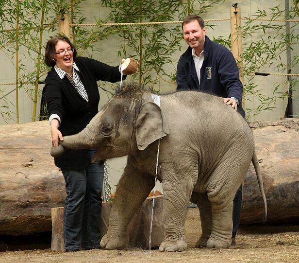 Der sieben Monate Elefantenbulle aus dem Münchner Tierpark Hellabrunn ist am Freitag auf den Namen Ludwig getauft worden. Die süßen Fotos.