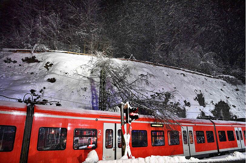 Am Sonntagabend stürzte ein Baum auf einen Zug - die Passagiere hatten Glück im Unglück.