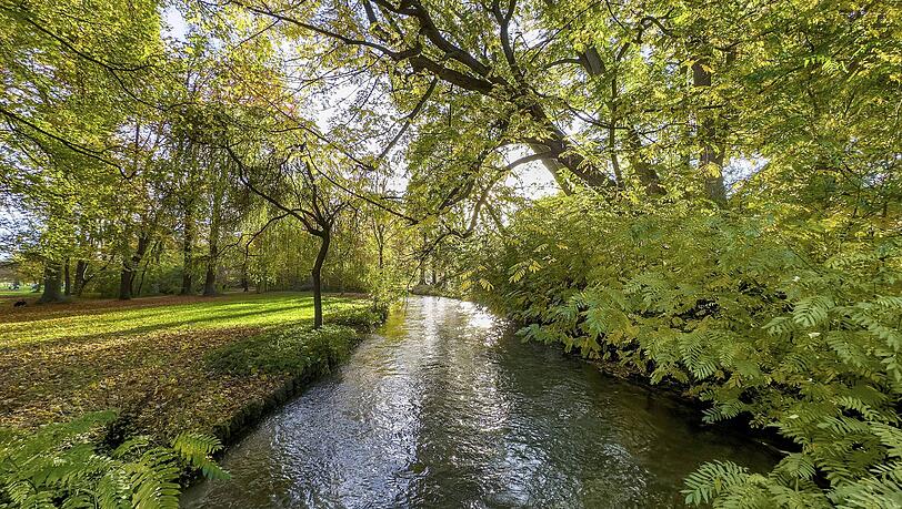 Im Englischen Garten am Schwabinger Bach ist eine 30-Jährige überfallen worden. (Symbolbild)