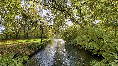 Im Englischen Garten am Schwabinger Bach ist eine 30-Jährige überfallen worden. (Symbolbild)