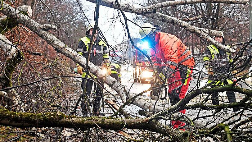 Auf der Rosenheimer Straße kurz vor der Auffahrt auf die A8 stürzten mehrere Bäume auf die Fahrbahn. Die Freiwillige Feuerwehr aus Perlach beseitigte die Hindernisse.