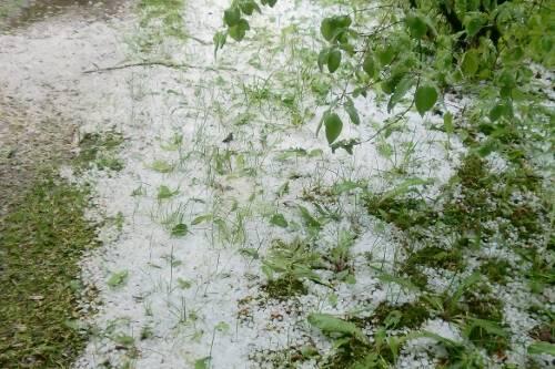 Eine Erinnerung an den Winter: Weiße Überraschung in Oberbayern.