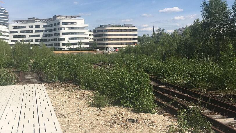 Ein Beton-Steg führt neben den verrottenden Gleisen entlang. Ein Beton-Steg führt neben den verrottenden Gleisen entlang.