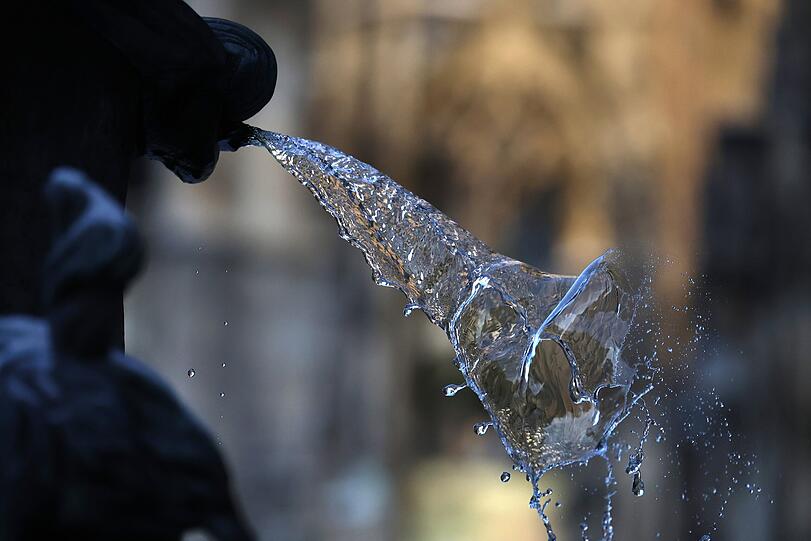 Wieder eisfrei: ein Wasserspeier am Fischbrunnen.