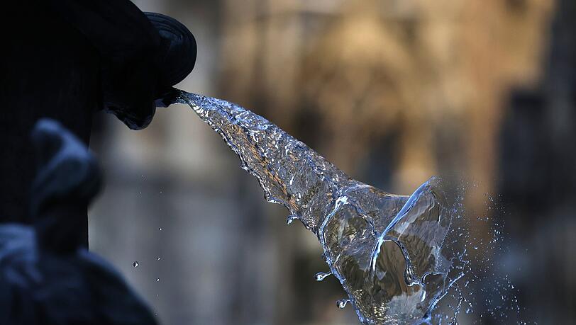 Wieder eisfrei: ein Wasserspeier am Fischbrunnen.
