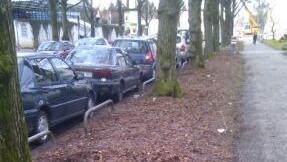 Straßen- und Grünstreifenpflege: Fehlanzeige. Die Bilder zum Durchklicken. Straßen- und Grünstreifenpflege: Fehlanzeige. Die Bilder zum Durchklicken.