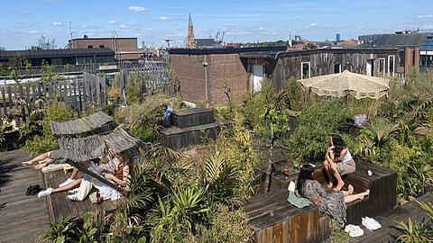 Auf dem Dach des Fat Cat (ehemaliger Gasteig) ist der "Kulturdachgarten“ entstanden, der Ausblick auf München ist ganz wunderbar. Am Samstag, beim Tag der Münchner Dachgärten, findet man dort auch Infostände zum Thema Dachterrassen.