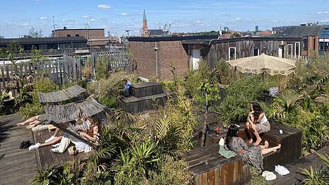 Auf dem Dach des Fat Cat (ehemaliger Gasteig) ist der "Kulturdachgarten“ entstanden, der Ausblick auf München ist ganz wunderbar. Am Samstag, beim Tag der Münchner Dachgärten, findet man dort auch Infostände zum Thema Dachterrassen.