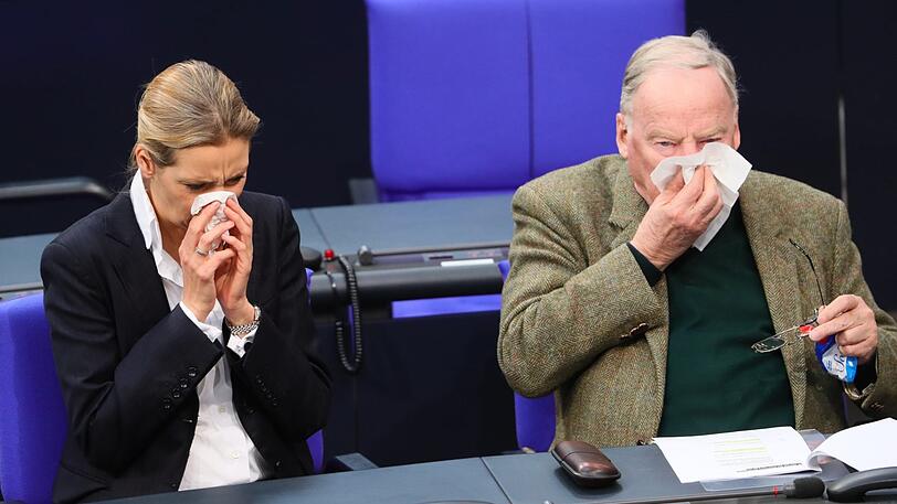 Die AfD-Fraktionsvorsitzenden Alice Weidel und Alexander Gauland wären mit dem Umfrage-Ergebnis wohl nicht zufrieden gewesen.