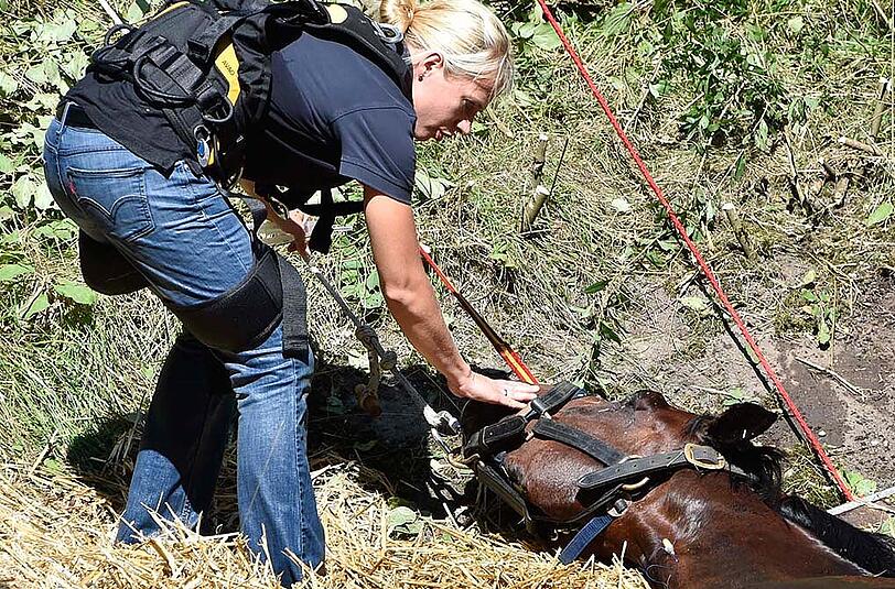 Das Pferd wurde erst ruhig gestellt und dann mittels Seilwinde gerettet.