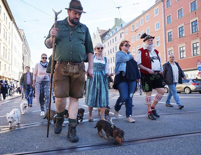 Die Dackel-Parade am Sonntag: Viele kurze Beine sind bei bestem Gassi-Wetter durch die Stadt gezogen.