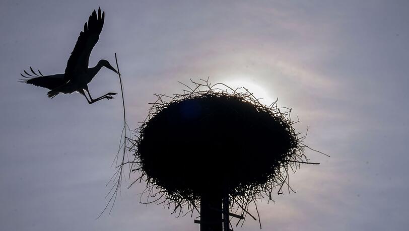 Vereinzelt kommt die Sonne durch, doch oft bleibt es Anfang der Woche bew&ouml;lkt im Freistaat. (Archivbild)