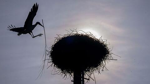 Vereinzelt kommt die Sonne durch, doch oft bleibt es Anfang der Woche bew&ouml;lkt im Freistaat. (Archivbild)