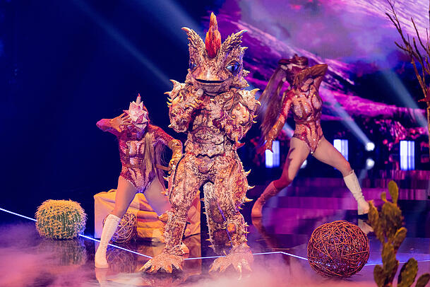 "The Masked Singer" kann bei seinen Fans punkten und erreicht solide Quoten. "The Masked Singer" kann bei seinen Fans punkten und erreicht solide Quoten.