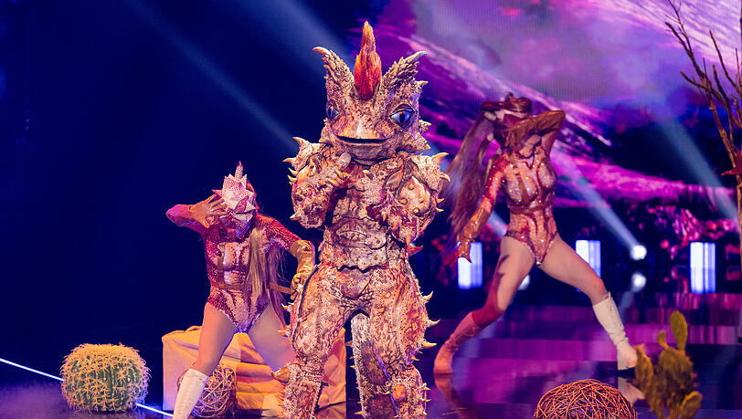 "The Masked Singer" kann bei seinen Fans punkten und erreicht solide Quoten. "The Masked Singer" kann bei seinen Fans punkten und erreicht solide Quoten.