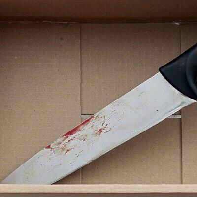 Brutale Attacke mit einem Fleischermesser - anschließend versuchte der Täter, sich mit einem Bolzenschussgerät selbst zu richten. (Symbolfoto)