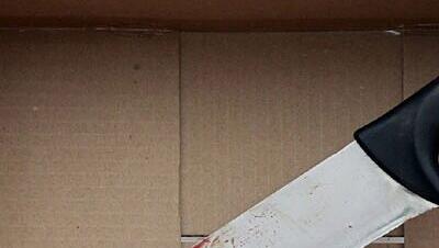 Brutale Attacke mit einem Fleischermesser - anschließend versuchte der Täter, sich mit einem Bolzenschussgerät selbst zu richten. (Symbolfoto) Brutale Attacke mit einem Fleischermesser - anschließend versuchte der Täter, sich mit einem Bolzenschussgerät selbst zu richten. (Symbolfoto)
