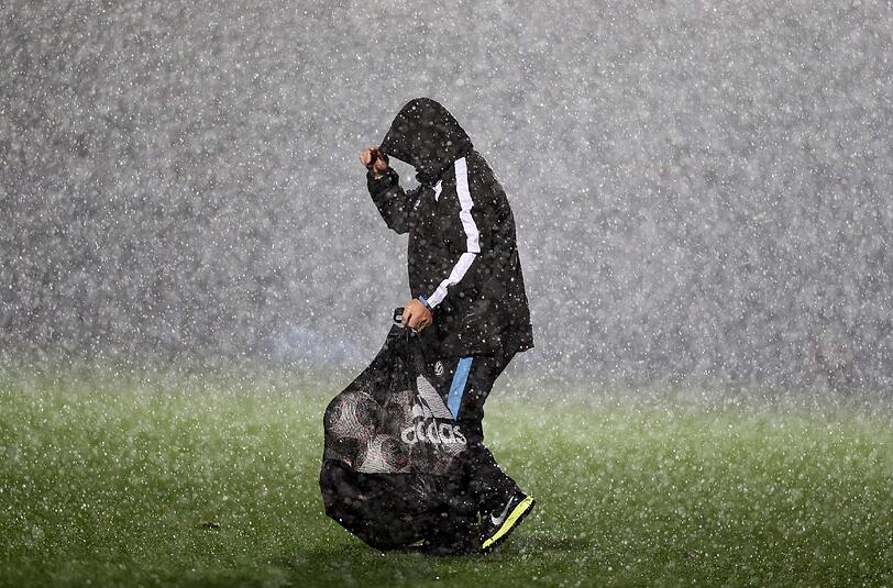 Der Löwe steht im Regen.