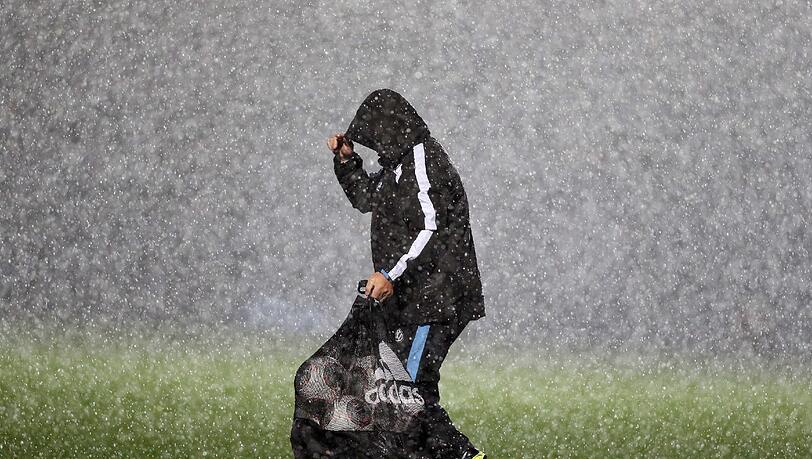 Der Löwe steht im Regen. Der Löwe steht im Regen.
