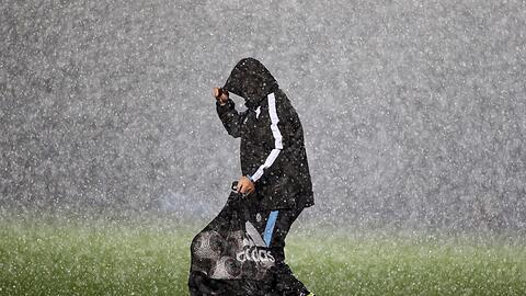 Der Löwe steht im Regen.
