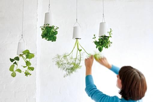 Erstaunlich: Der Boskke Sky Planter