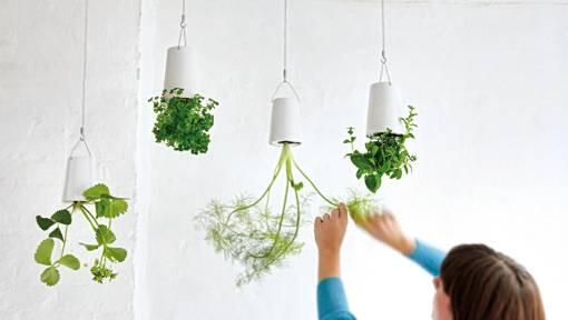 Erstaunlich: Der Boskke Sky Planter Erstaunlich: Der Boskke Sky Planter