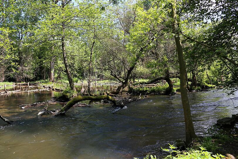 Das Naturschutzgebiet an der Würm.