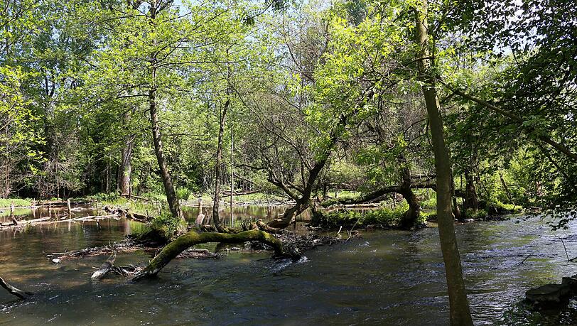Das Naturschutzgebiet an der Würm. Das Naturschutzgebiet an der Würm.