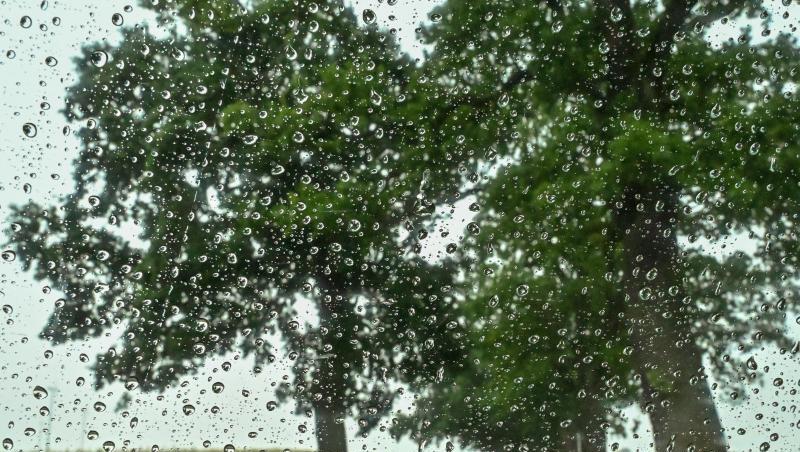 Regentropfen sind an einer Scheibe eines Autos zu sehen. Nach vielen Tagen mit Hitze und Trockenheit bringt ein Regengebiet Abkühlung und Niederschläge. Regentropfen sind an einer Scheibe eines Autos zu sehen. Nach vielen Tagen mit Hitze und Trockenheit bringt ein Regengebiet Abkühlung und Niederschläge.